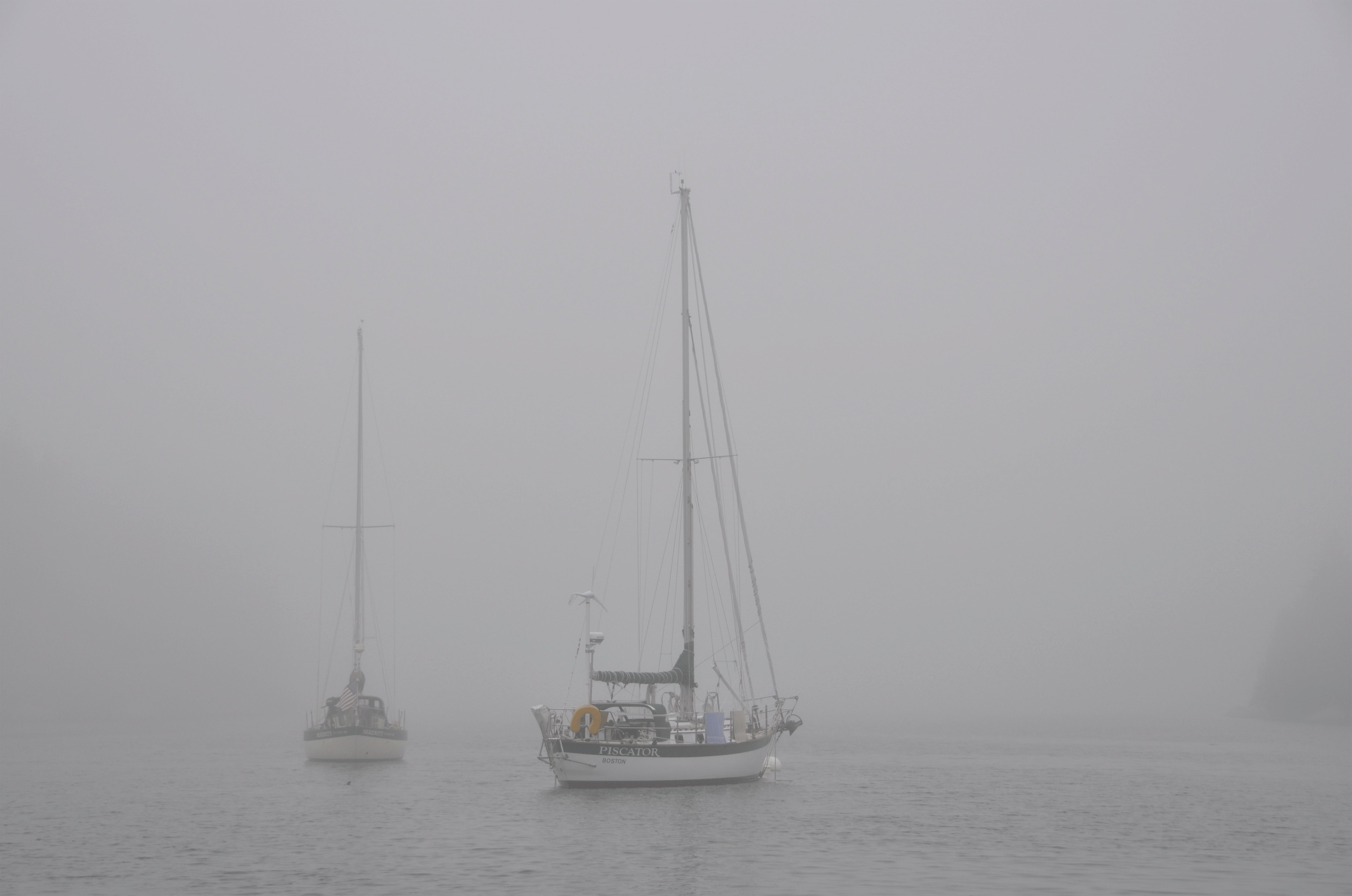 Mane-Fog