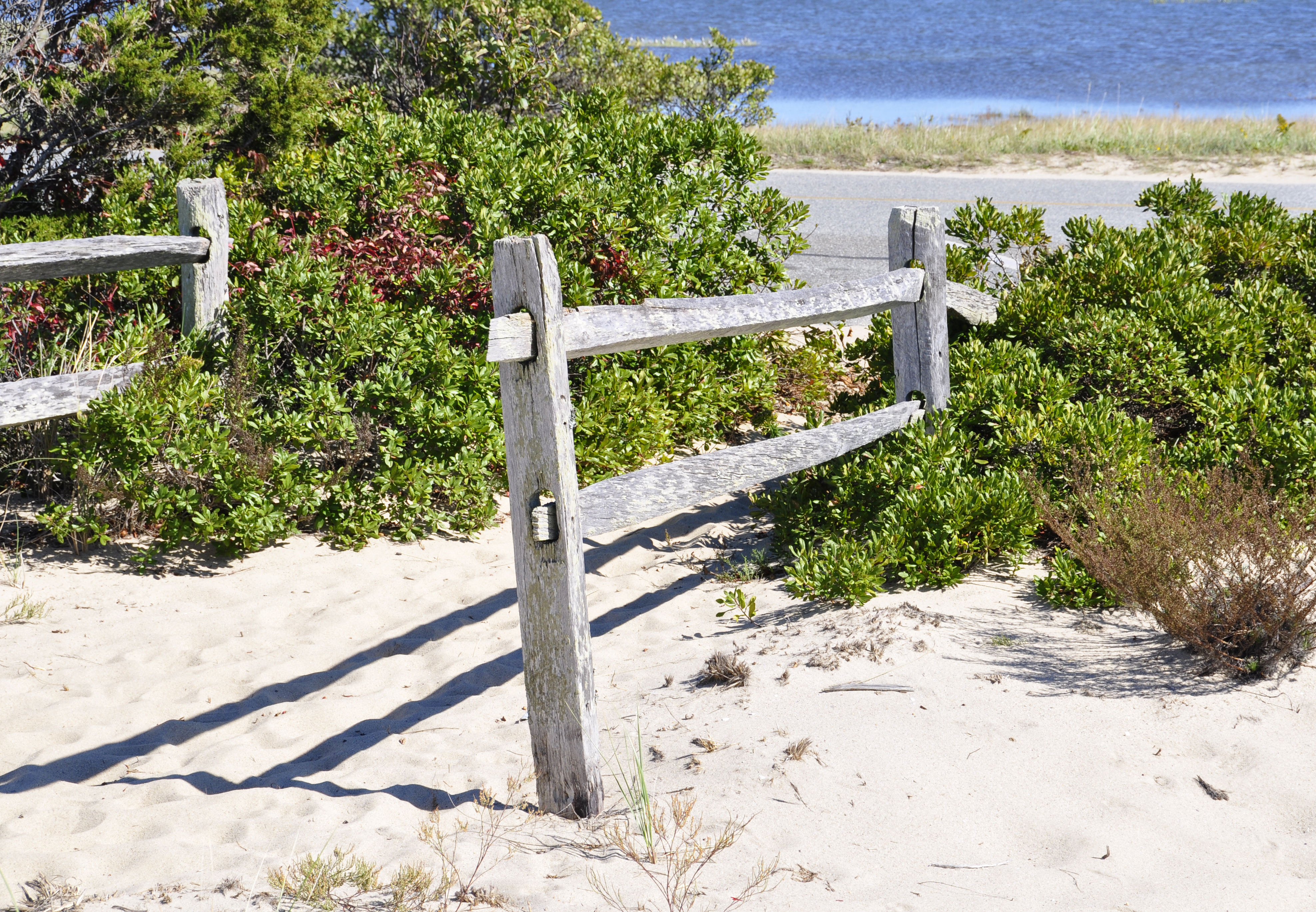 Path to the beach