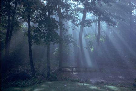 Rays Of Light web