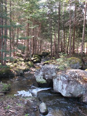 spring runoff web