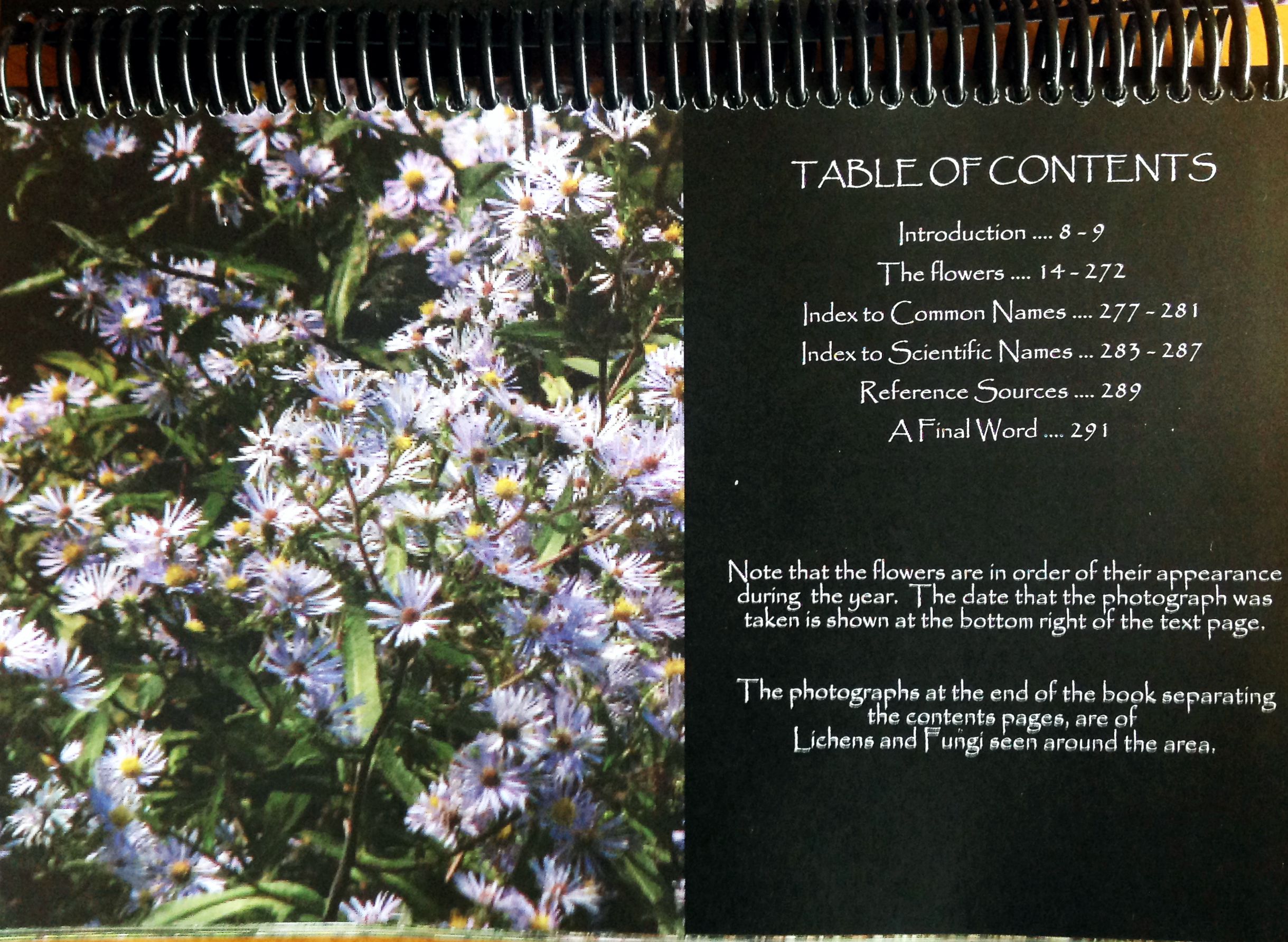 WIldflower guide TOC