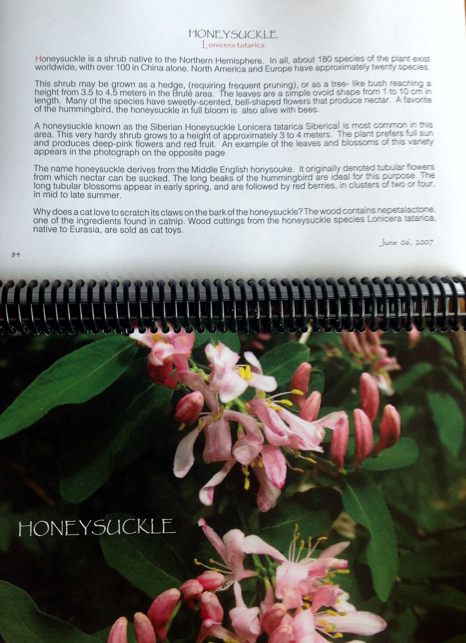eazy read field guide